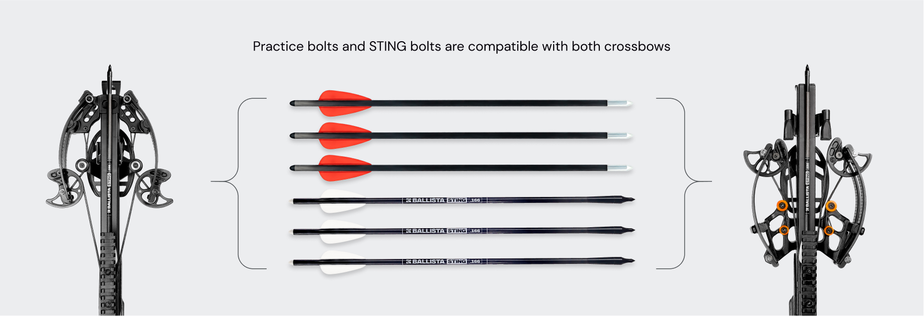 Practice-bolts-and-sting-bolts - BALLISTA Crossbows for Fishing, Hunting and Entertainment